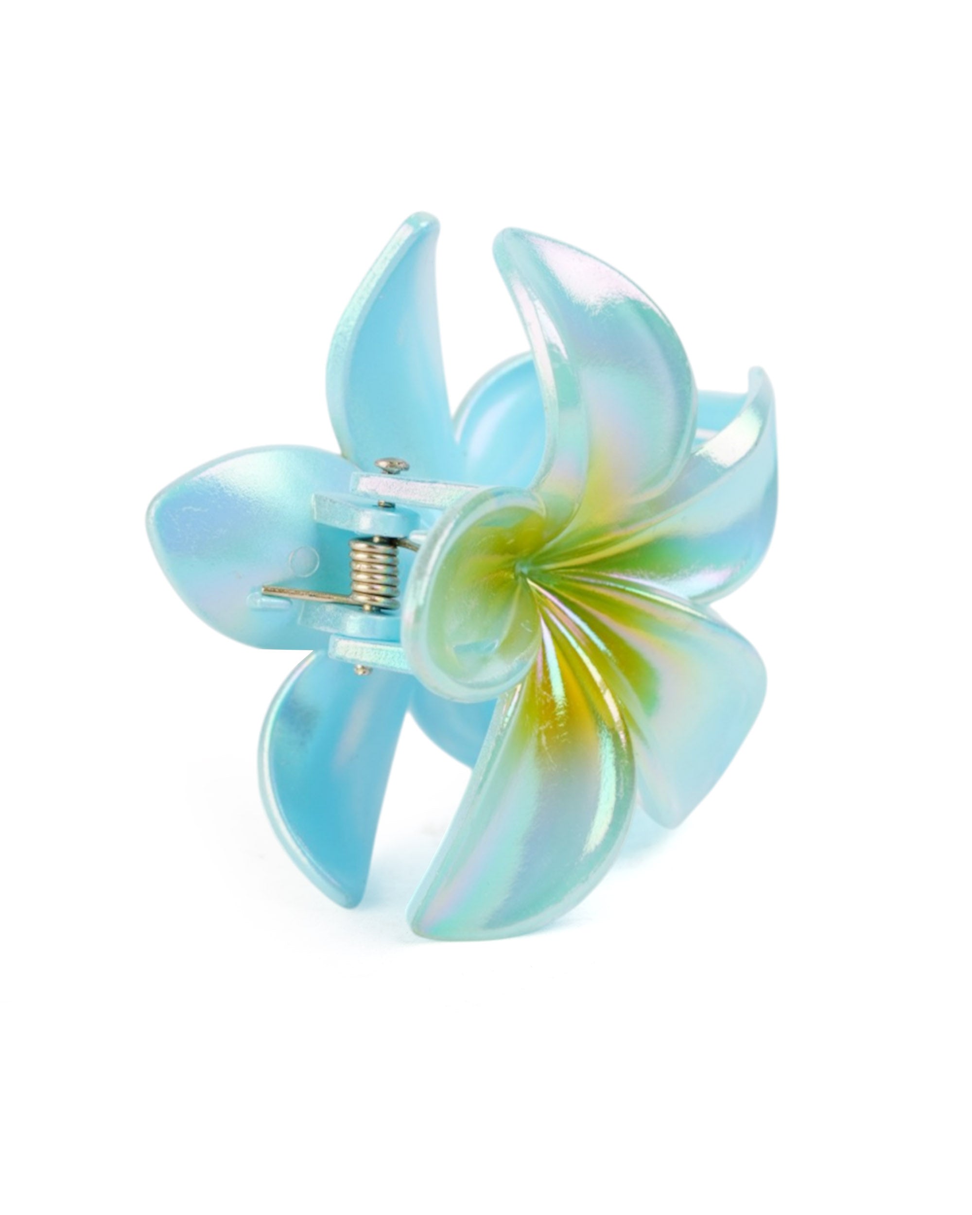Women's Hair Catcher