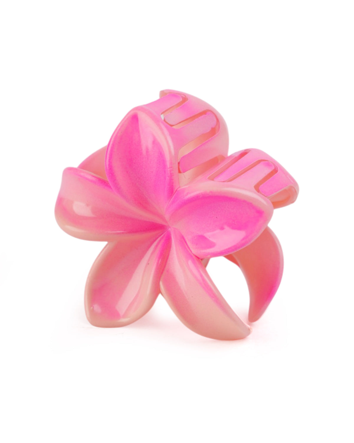 Women's Hair Catcher