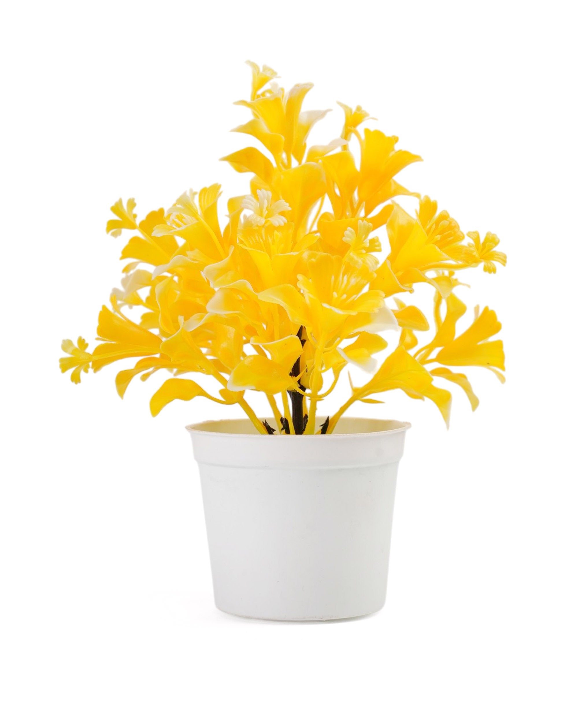 Flower Pot