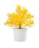 Flower Pot