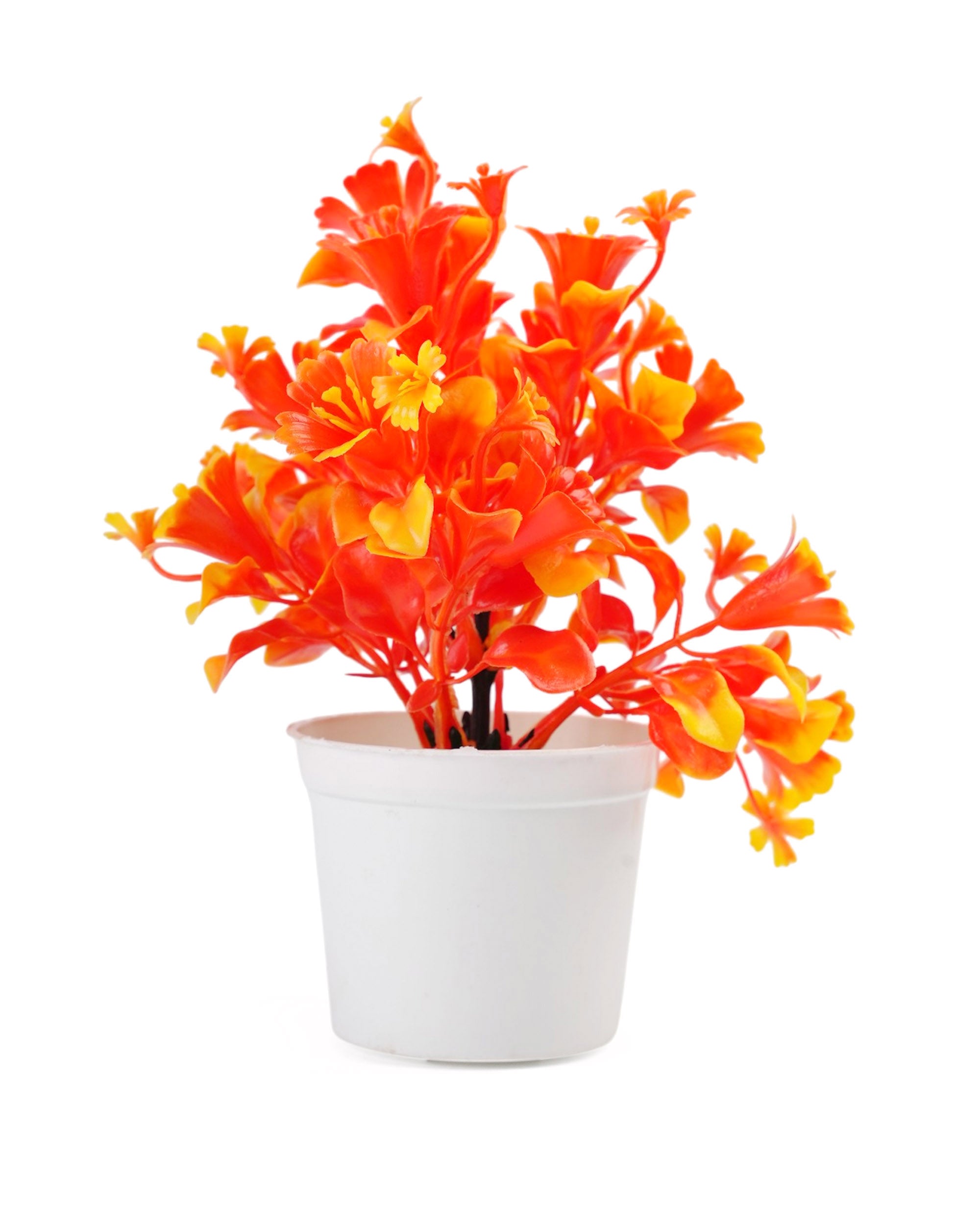 Flower Pot