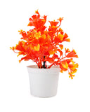 Flower Pot