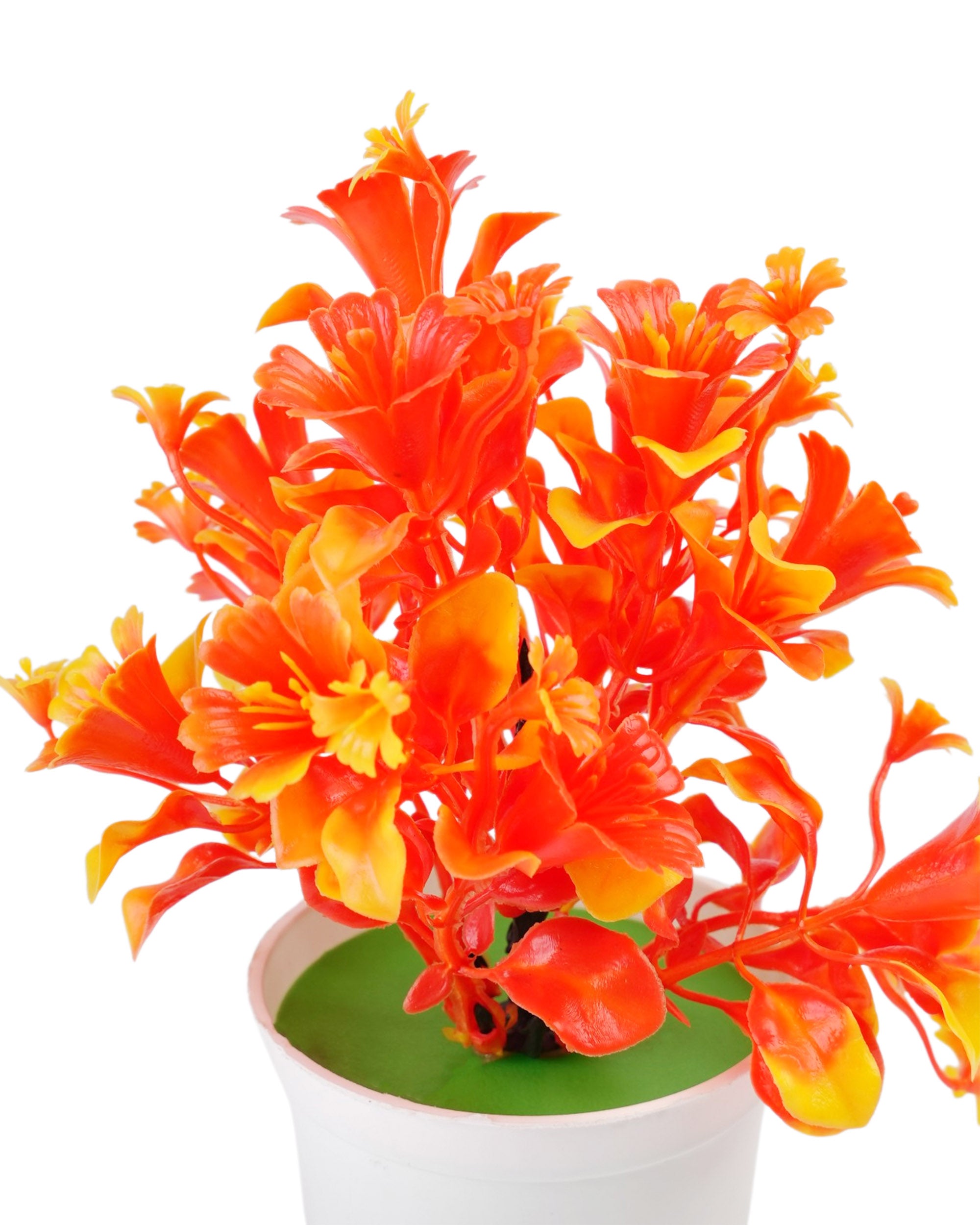 Flower Pot