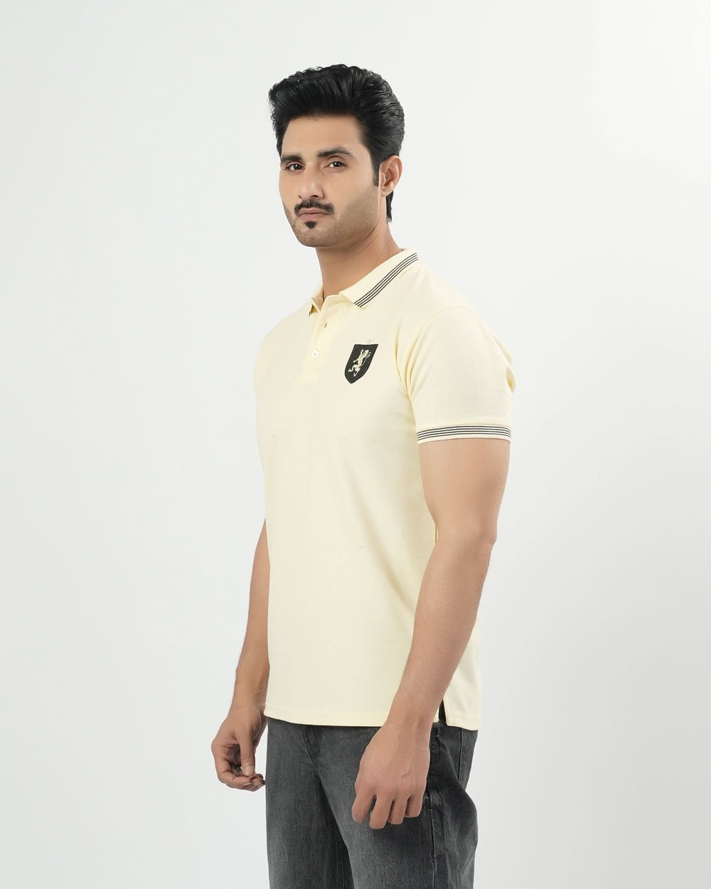 Men's Half Sleeves Polo T-Shirt, Men's T-Shirts & Polos, Chase Value, Chase Value