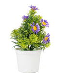 Flower Pot