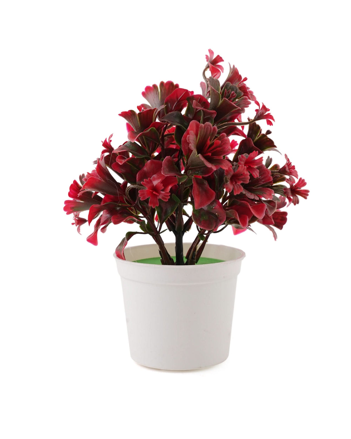Flower Pot, Decoration, Chase Value, Chase Value