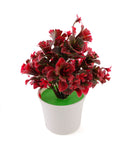 Flower Pot, Decoration, Chase Value, Chase Value