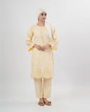 Valuables Women Embroidered 2PCS Suit, Women Shalwar Suits, Valuables, Chase Value