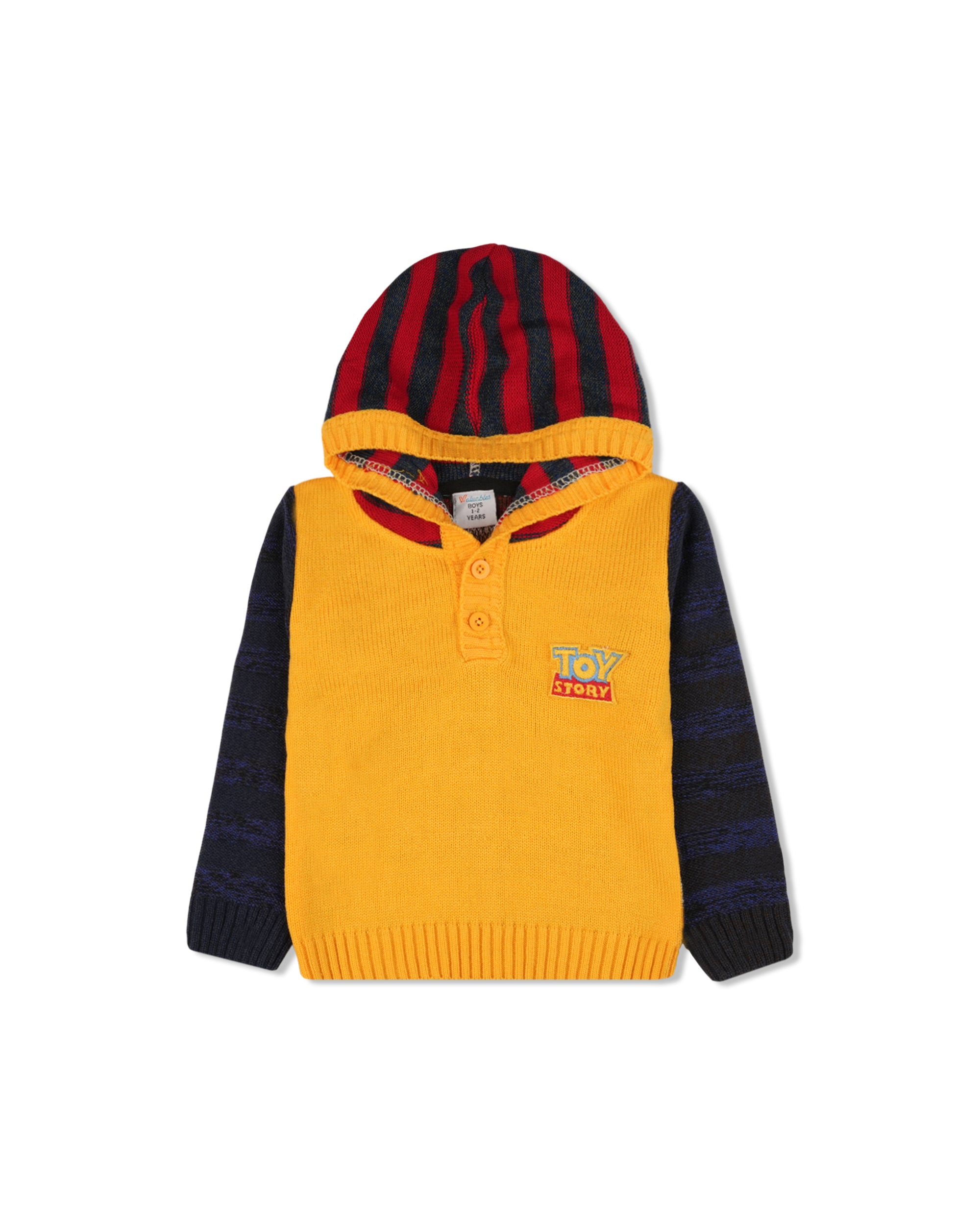 Valuables Boys Hooded Sweaters