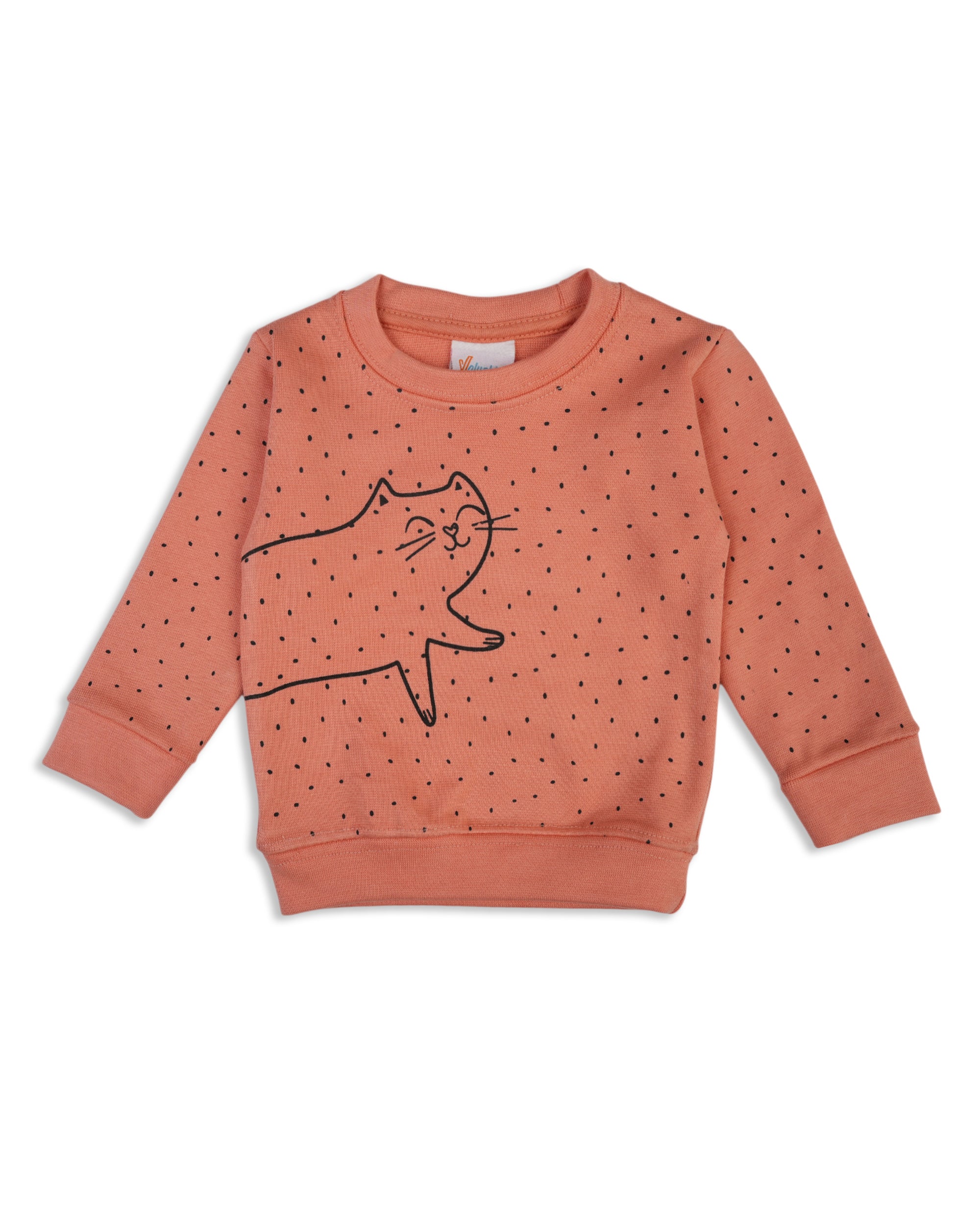 Valuables Newborn Girls Sweat Shirt, Newborn Girls Winterwear, Chase Value, Chase Value