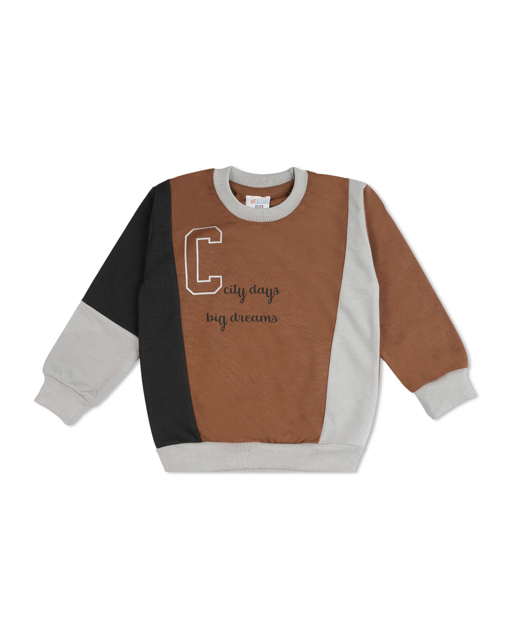 Valuables Boy’s Sweatshirt, Boys Hoodies & Sweat Shirts, Chase Value, Chase Value