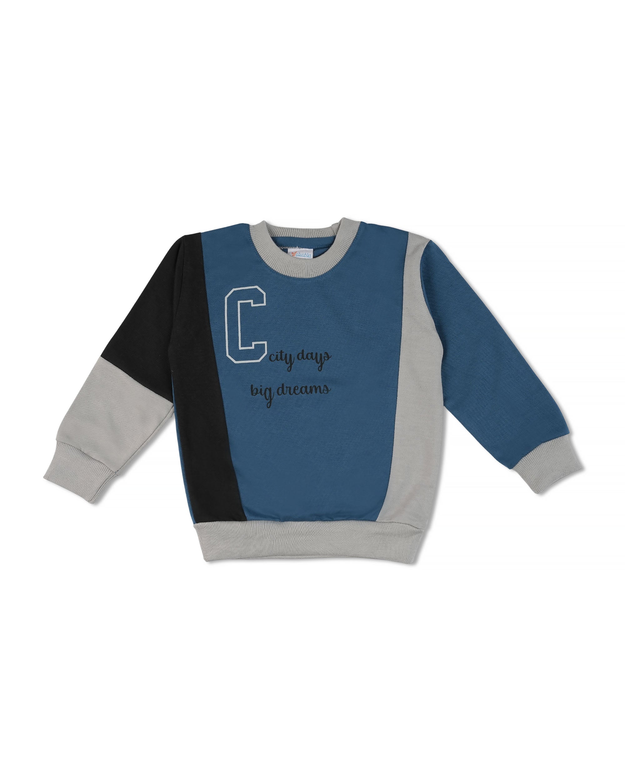 Valuables Boy’s Sweatshirt, Boys Hoodies & Sweat Shirts, Chase Value, Chase Value