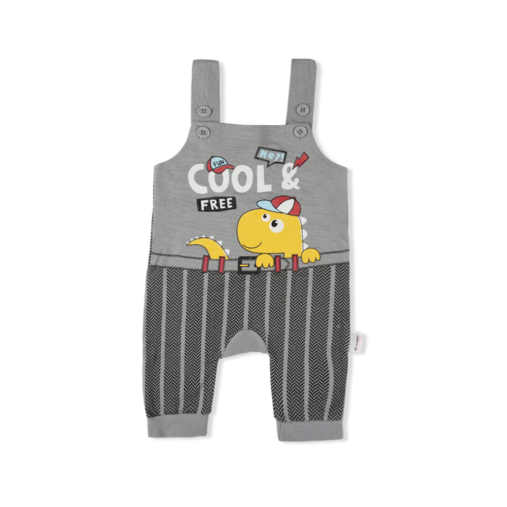 Newborn Boys Full Sleeves Romper, Newborn Boys Rompers, Chase Value, Chase Value