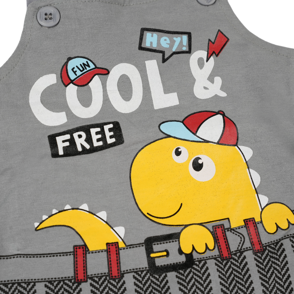 Newborn Boys Full Sleeves Romper, Newborn Boys Rompers, Chase Value, Chase Value