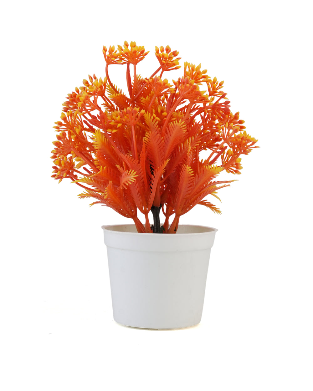 Flower Pot, Decoration, Chase Value, Chase Value