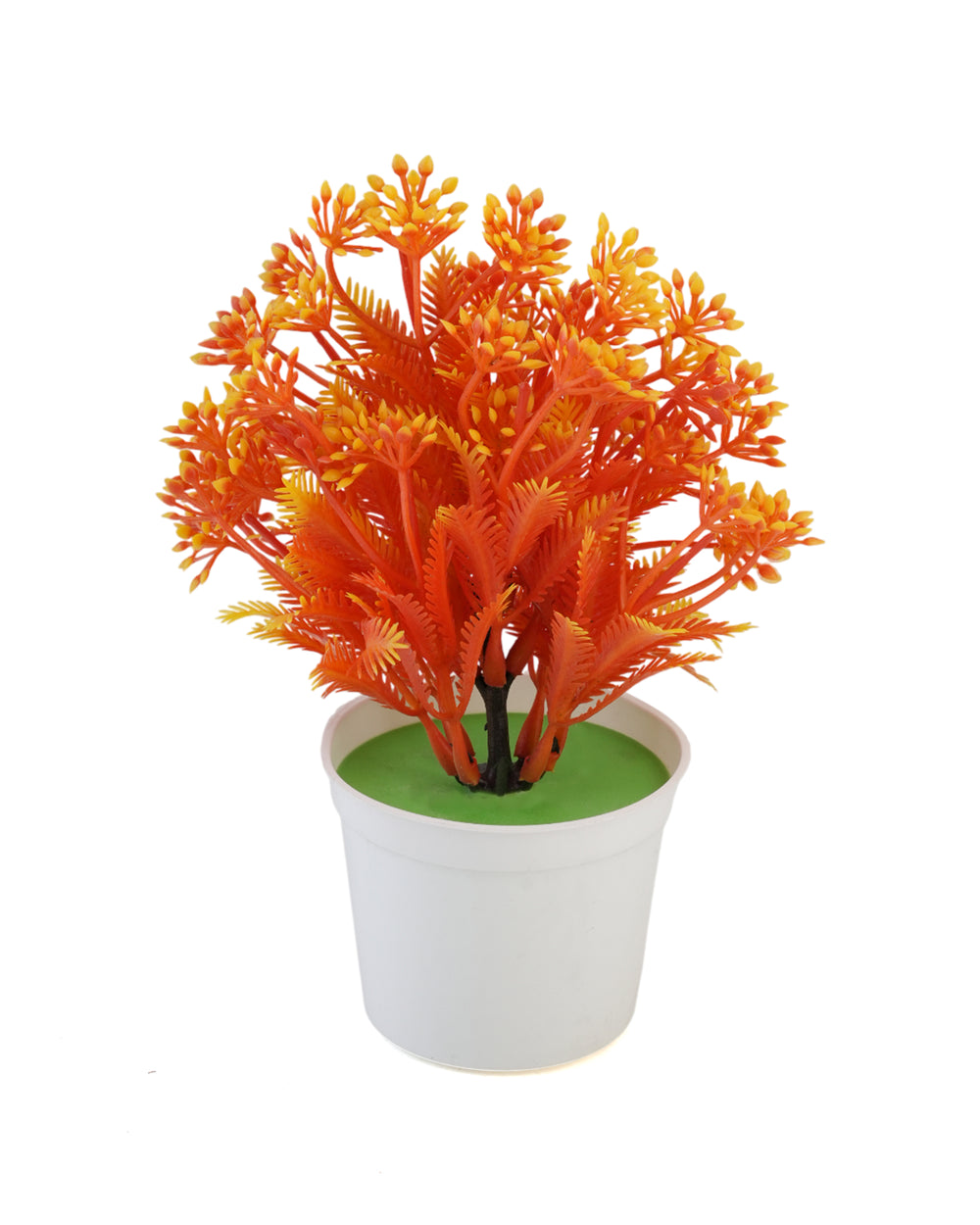 Flower Pot, Decoration, Chase Value, Chase Value