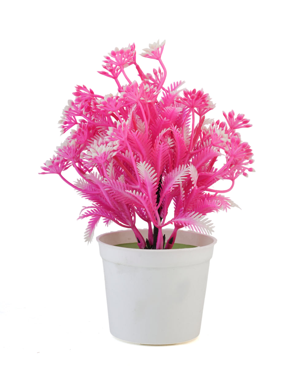 Flower Pot, Decoration, Chase Value, Chase Value