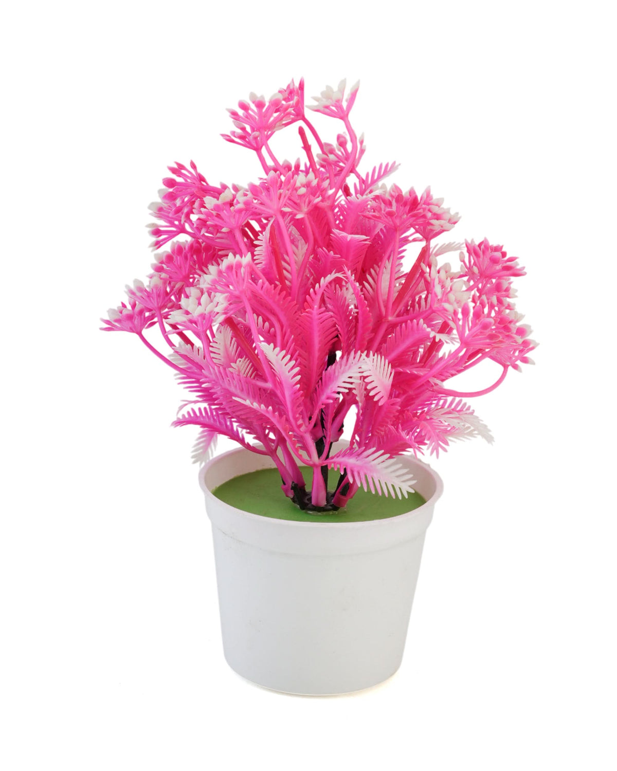 Flower Pot, Decoration, Chase Value, Chase Value