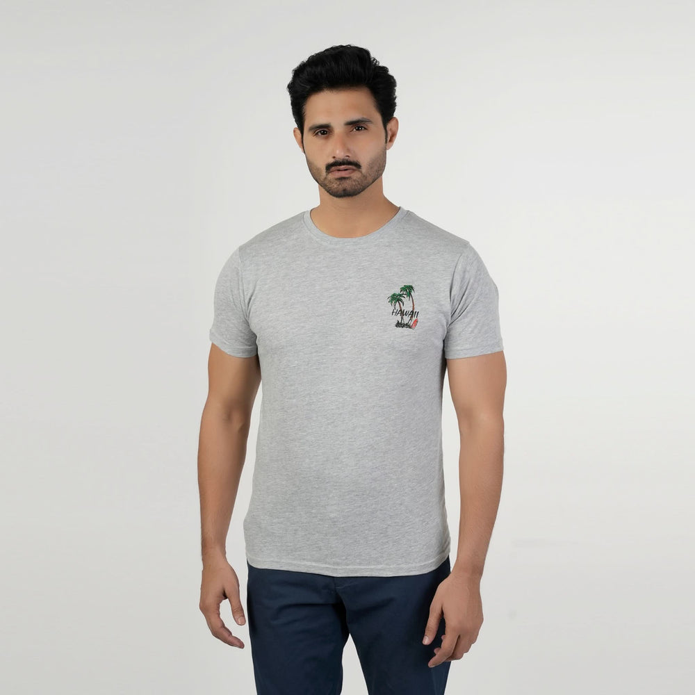 Valuable Men's Half Sleeves T-Shirt - Grey, Men's T-Shirts & Polos, Chase Value, Chase Value