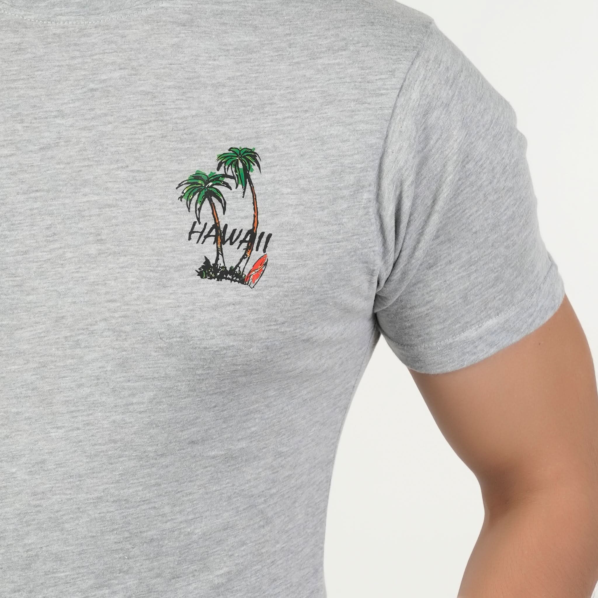 Valuable Men's Half Sleeves T-Shirt - Grey, Men's T-Shirts & Polos, Chase Value, Chase Value