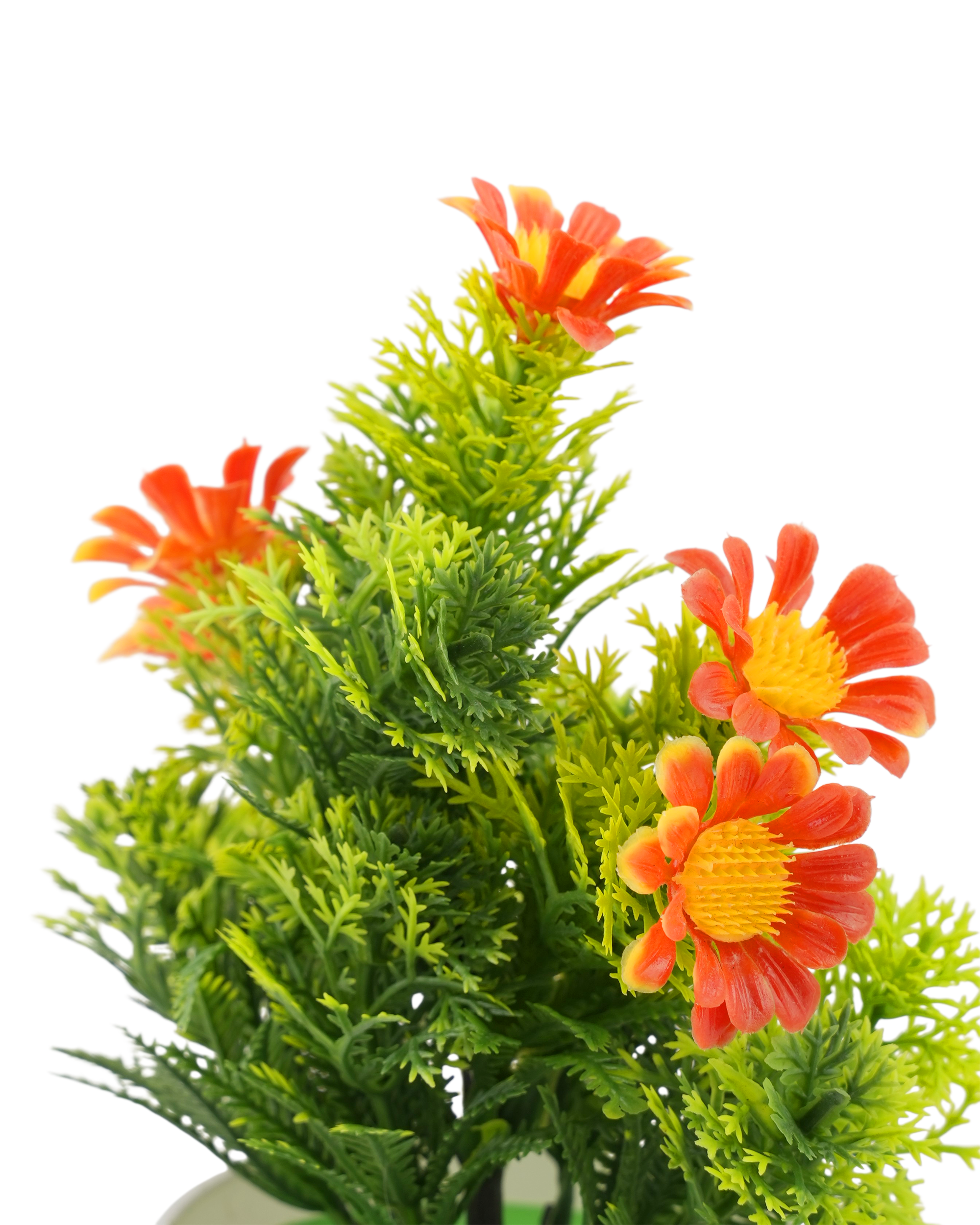 Flower Pot, Decoration, Chase Value, Chase Value