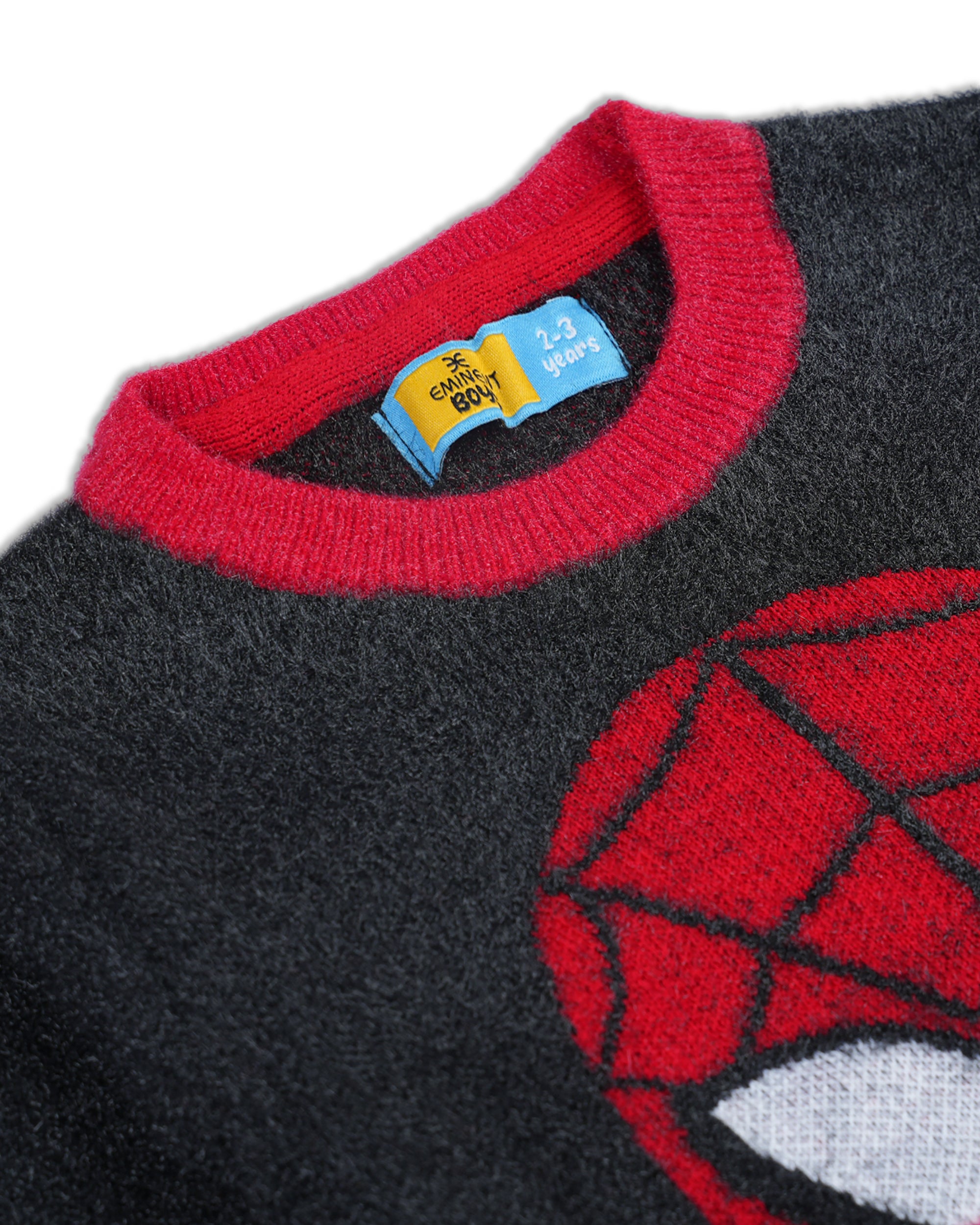 Eminent Boys Sweater, Boys Sweaters, Eminent, Chase Value