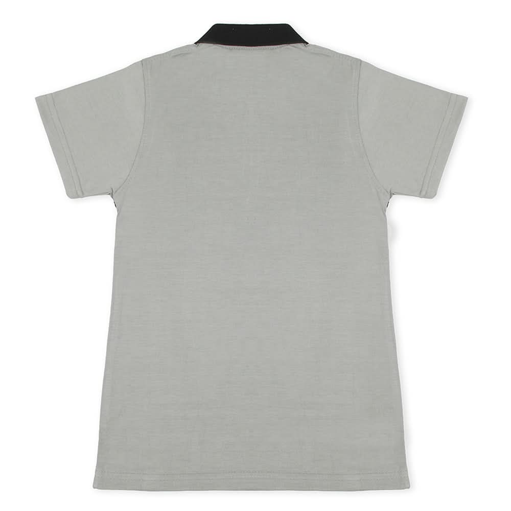 Boys Half Sleeves Polo T-Shirt - Grey, Boys T-Shirts, Chase Value, Chase Value