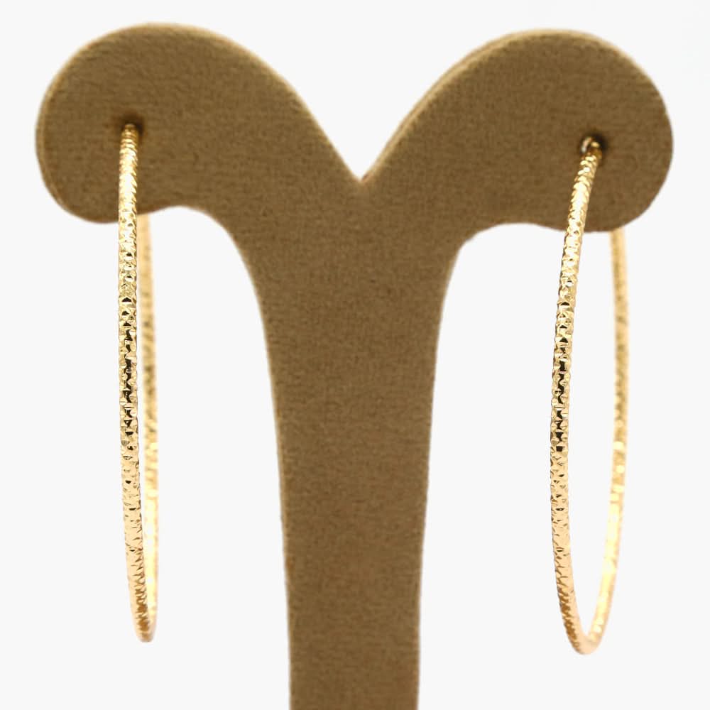 Women's Earring - Golden, Women Earrings & Tops, Chase Value, Chase Value
