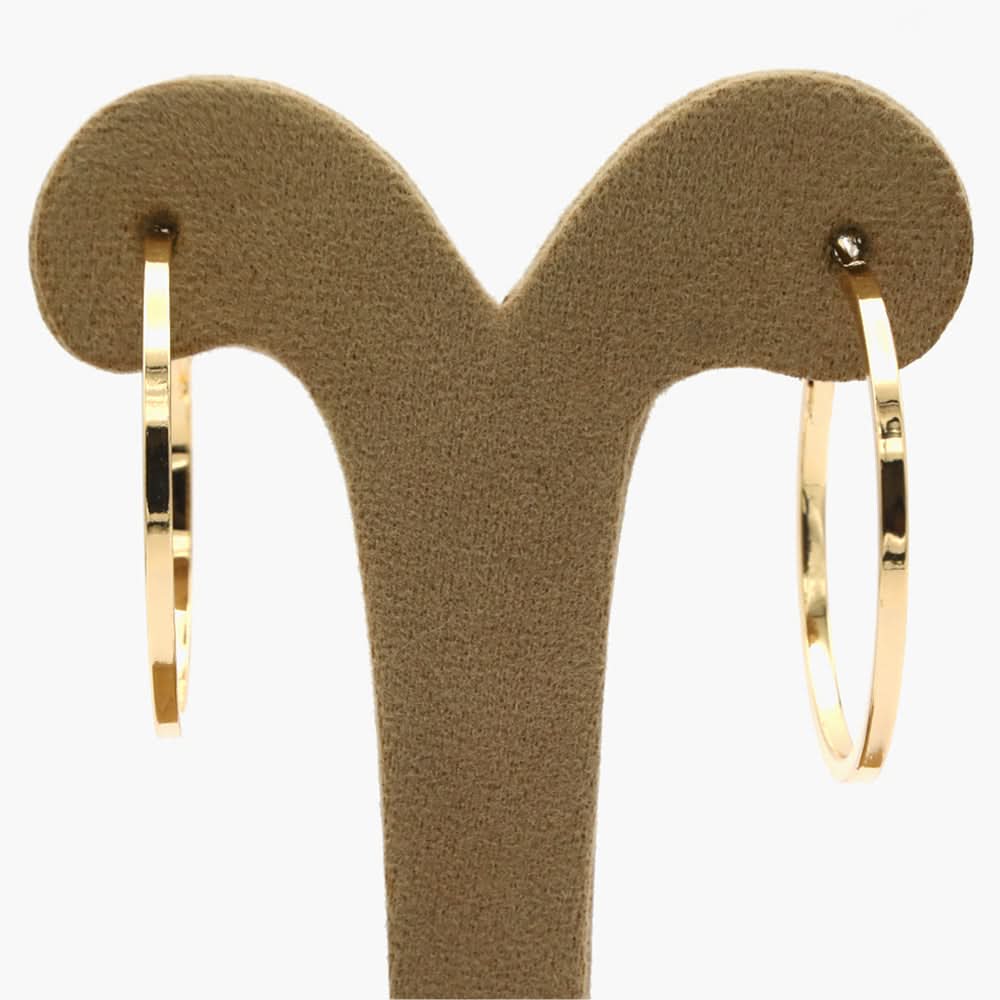 Women's Ear Hoops - Golden, Women Earrings & Tops, Chase Value, Chase Value