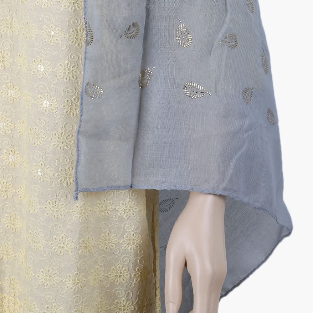 Women's Scarf - Light Grey, Women Shawls & Scarves, Chase Value, Chase Value