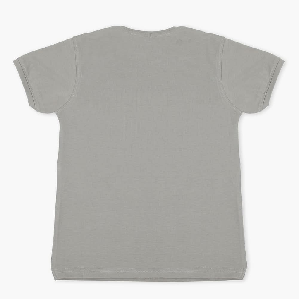 Boys Half Sleeves Polo T-Shirt - Grey, Boys T-Shirts, Chase Value, Chase Value