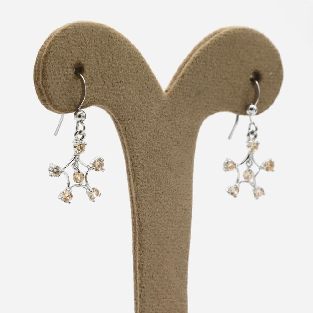 Women's Earring - Golden, Women Earrings & Tops, Chase Value, Chase Value