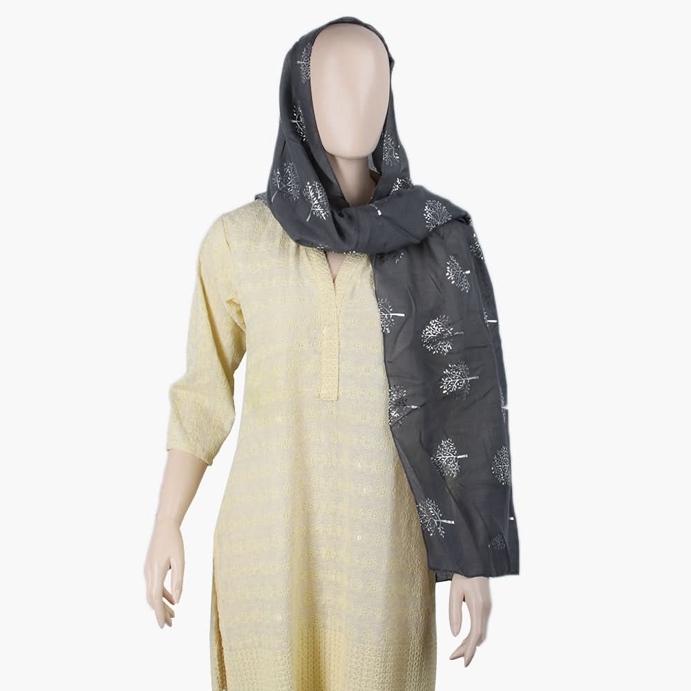 Women's Scarf - Grey, Women Shawls & Scarves, Chase Value, Chase Value