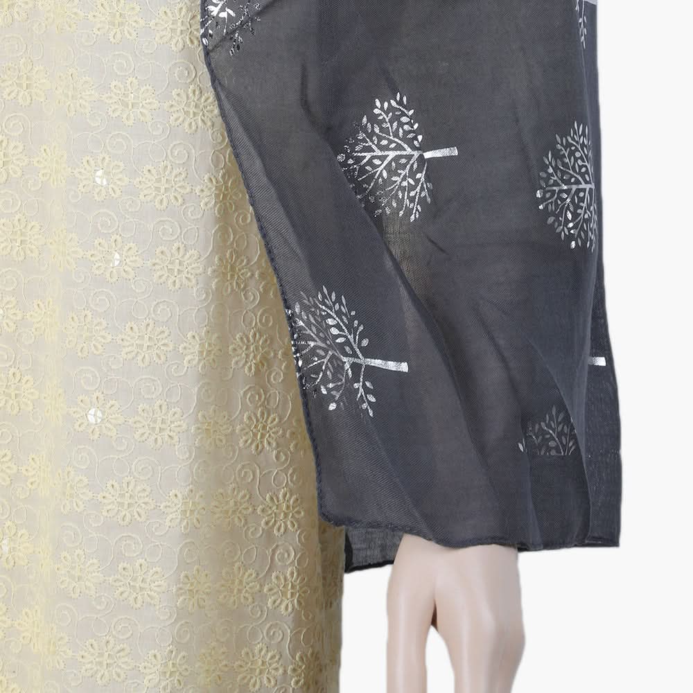 Women's Scarf - Grey, Women Shawls & Scarves, Chase Value, Chase Value