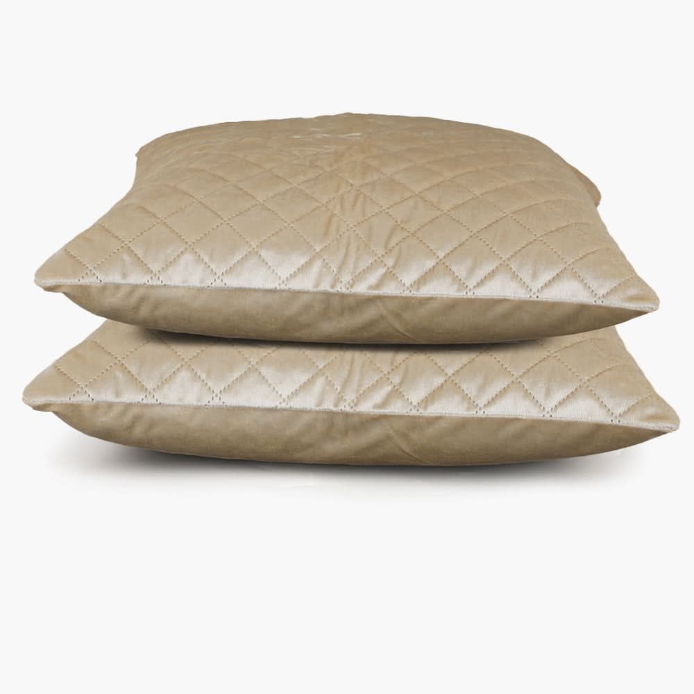 Velvet Cushion 2pcs Set - Golden, Cushion Cover, Chase Value, Chase Value