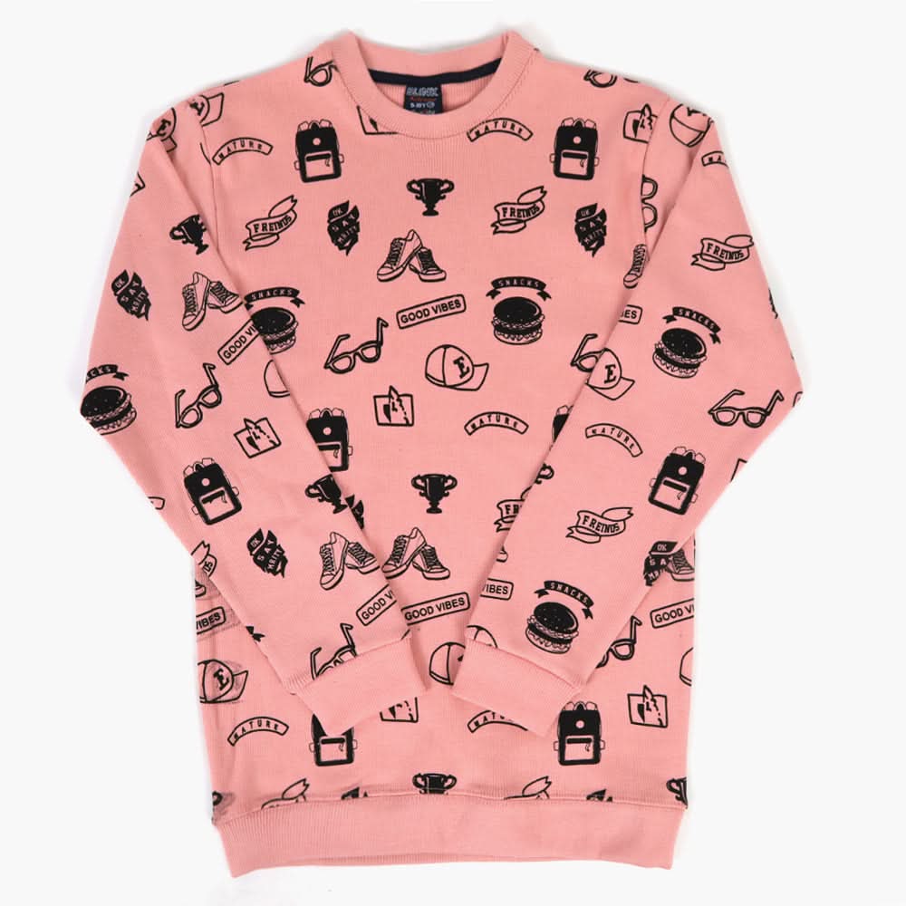 Boys Sweatshirt - Pink, Boys Hoodies & Sweat Shirts, Chase Value, Chase Value