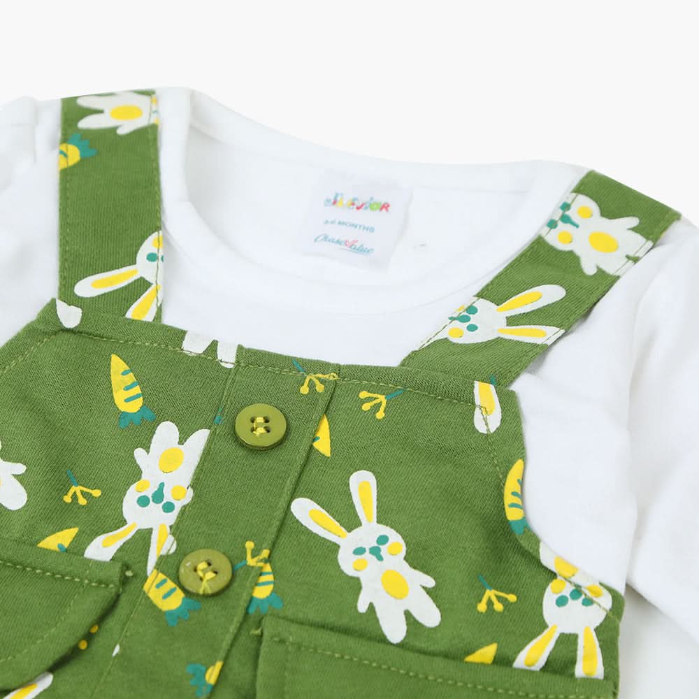 Newborn Girls Full Sleeves Frock - Green, Newborn Girls Frocks, Chase Value, Chase Value