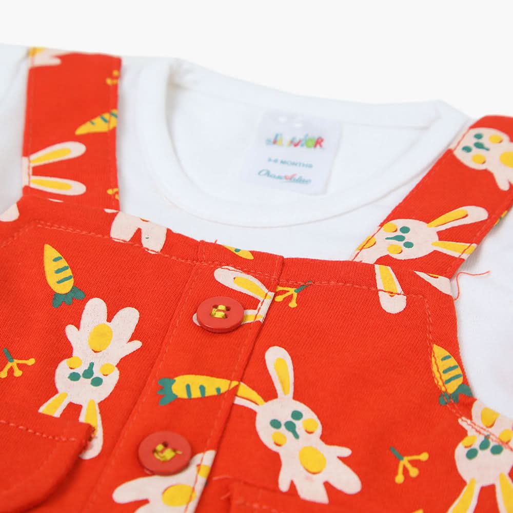 Newborn Girls Full Sleeves Frock - Red, Newborn Girls Frocks, Chase Value, Chase Value