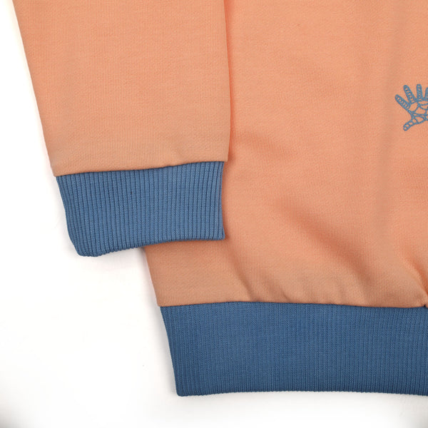 Boys Full Sleeves Sweat Shirt - Peach