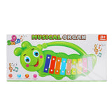 Piano Knocking Xylophone - Green, Musical Toys, Chase Value, Chase Value