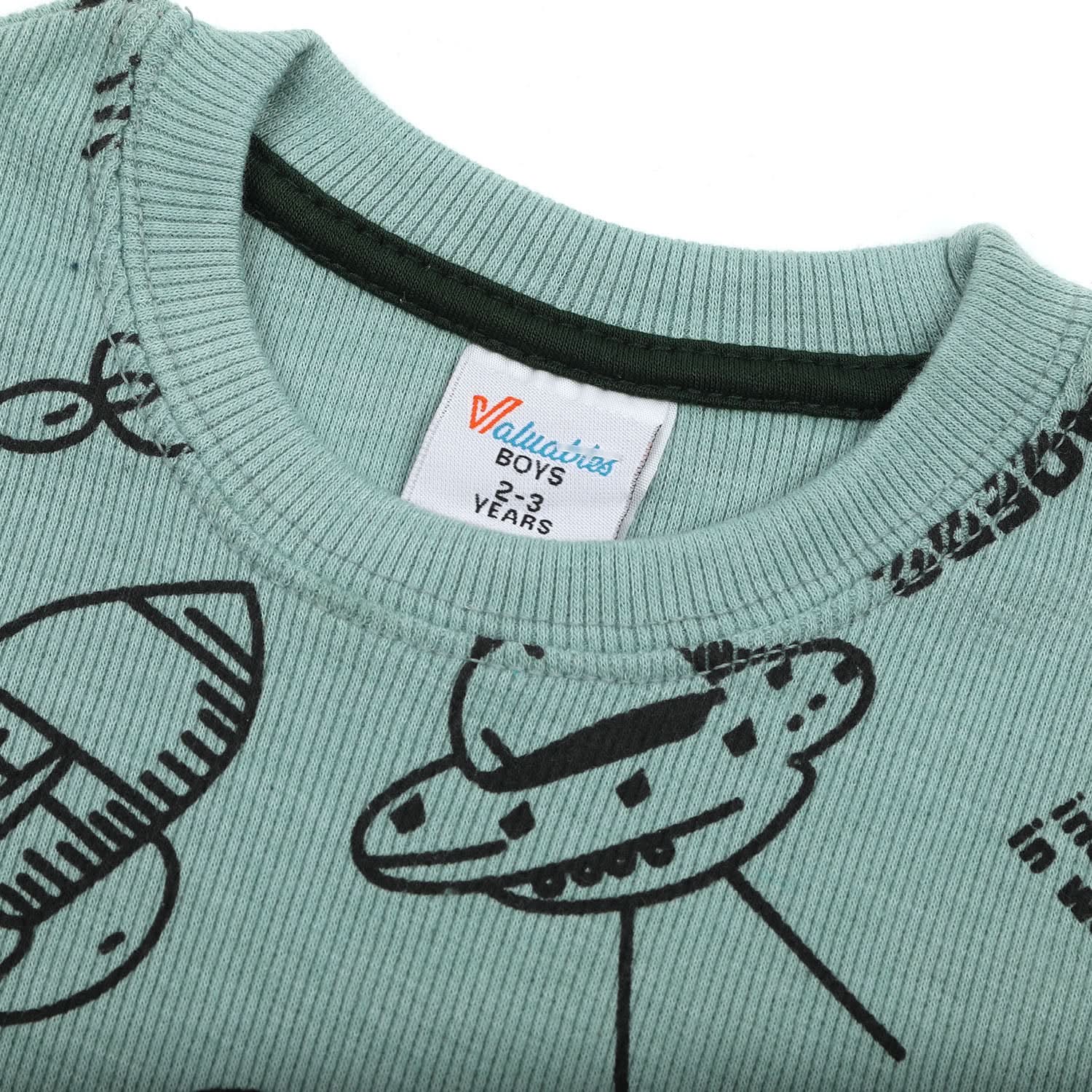Boys Full Sleeves SweatShirt - Sea Green, Boys Hoodies & Sweat Shirts, Chase Value, Chase Value