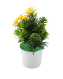 Flower Pot, Decoration, Chase Value, Chase Value