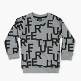 Boys Sweatshirt - Grey, Boys Hoodies & Sweat Shirts, Chase Value, Chase Value