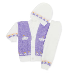 Newborn Boys Full Sleeves Sweater Suit - Purple