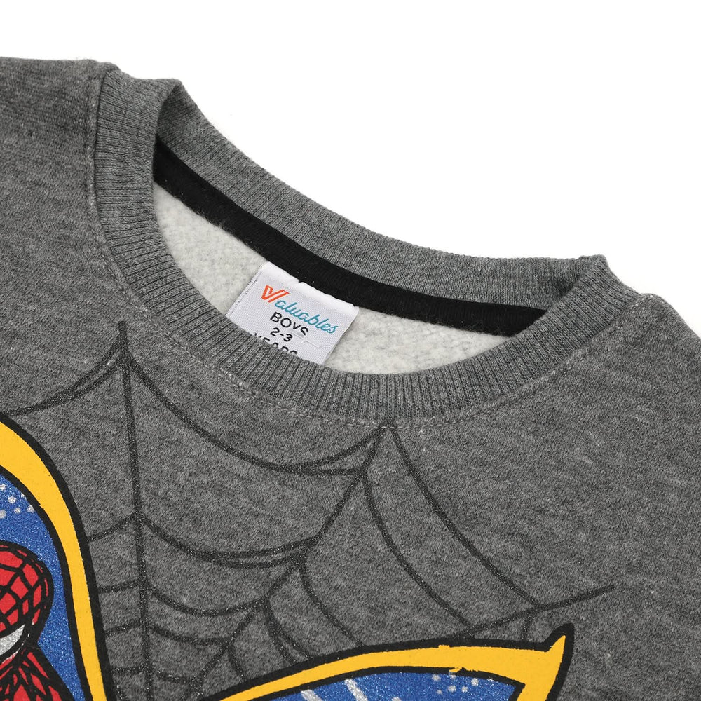 Boys Full Sleeves Round Neck T-Shirt - Grey, Boys T-Shirts, Chase Value, Chase Value