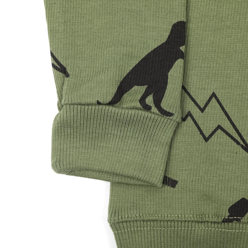 Boys Full Sleeve Sweatshirt - Olive, Boys Hoodies & Sweat Shirts, Chase Value, Chase Value
