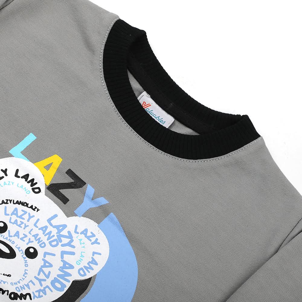Boys Full Sleeves SweatShirt - Grey, Boys Hoodies & Sweat Shirts, Chase Value, Chase Value
