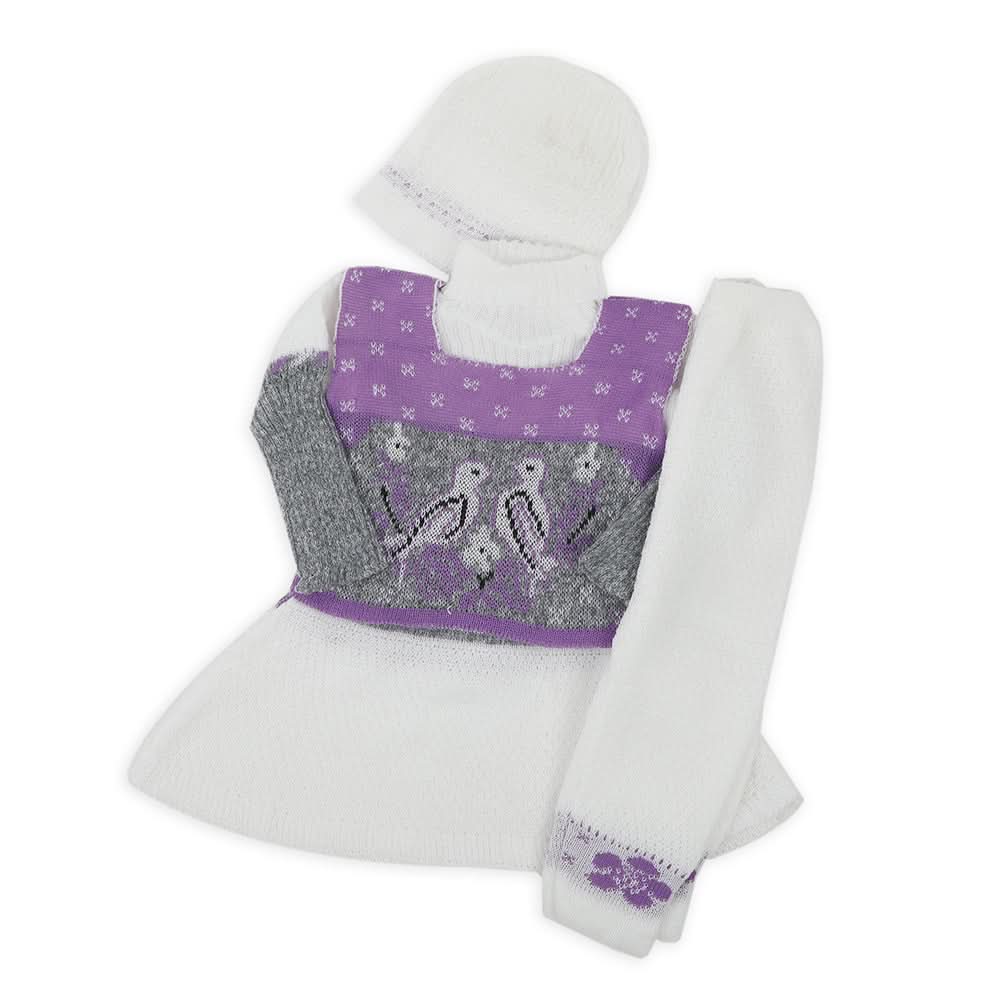 Newborn Girls Full Sleeves Sweater Suit - Purple, Newborn Girls Sets & Suits, Chase Value, Chase Value