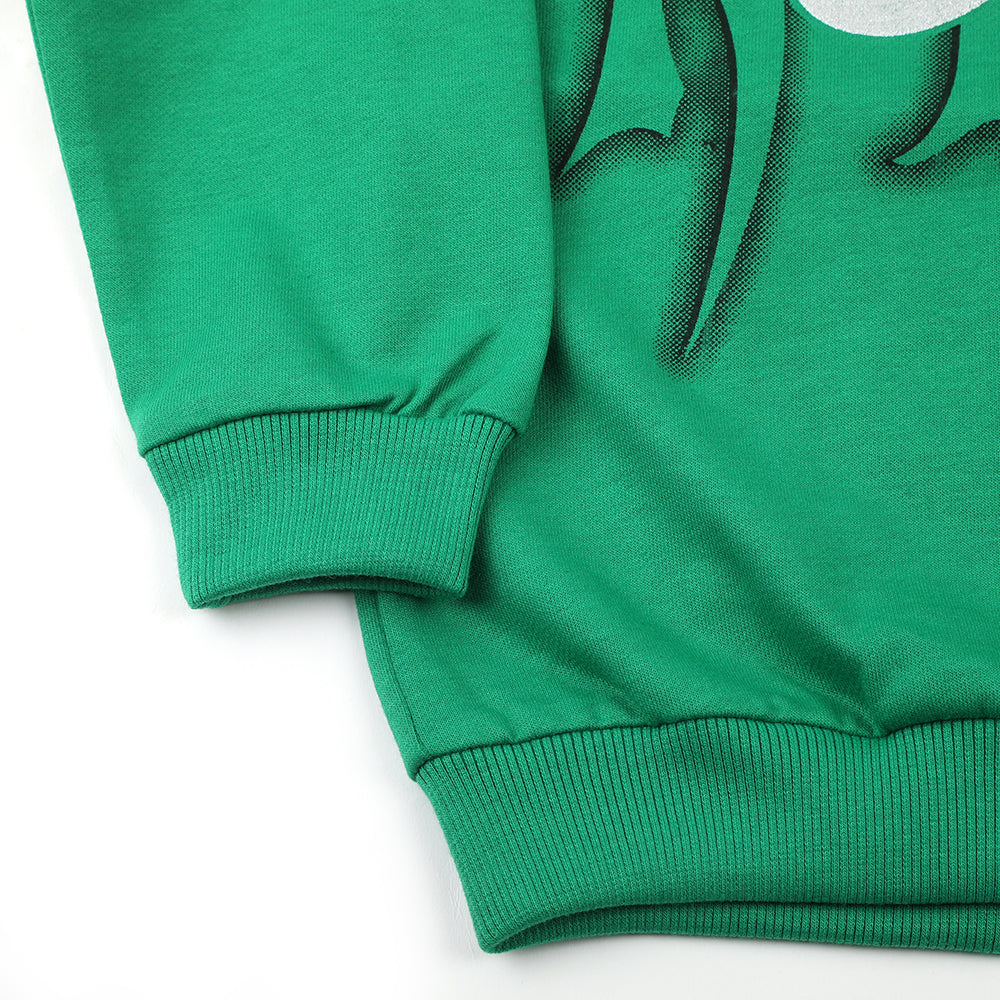 Boys Full Sleeves SweatShirt - Green, Boys Hoodies & Sweat Shirts, Chase Value, Chase Value