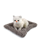 Stuffed Toy Cat